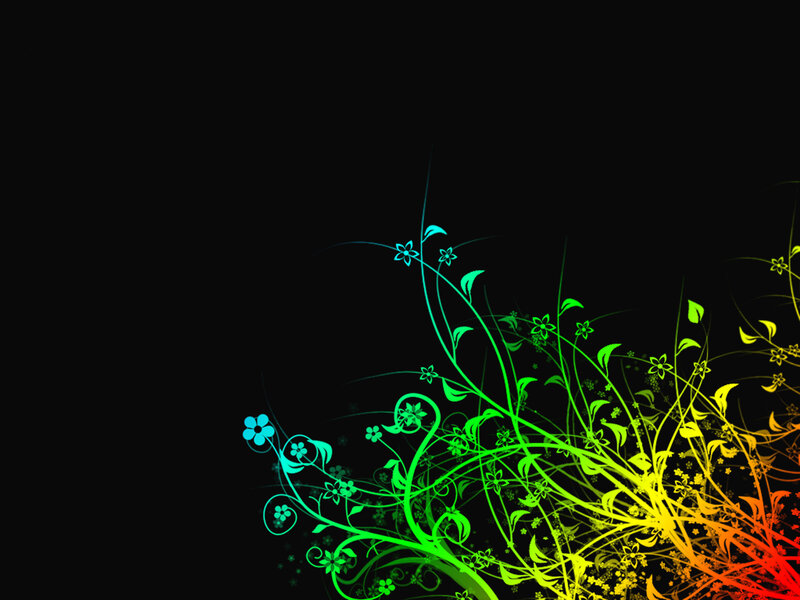 Colorful Floral Vines — Black