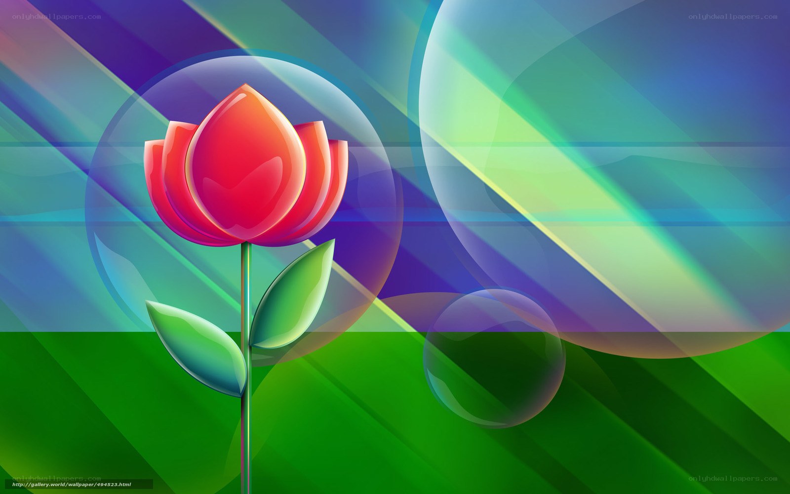 Colorful flower abstract background