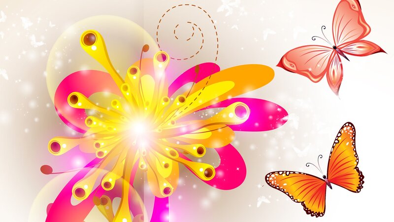 Colorful Flower and Butterflies