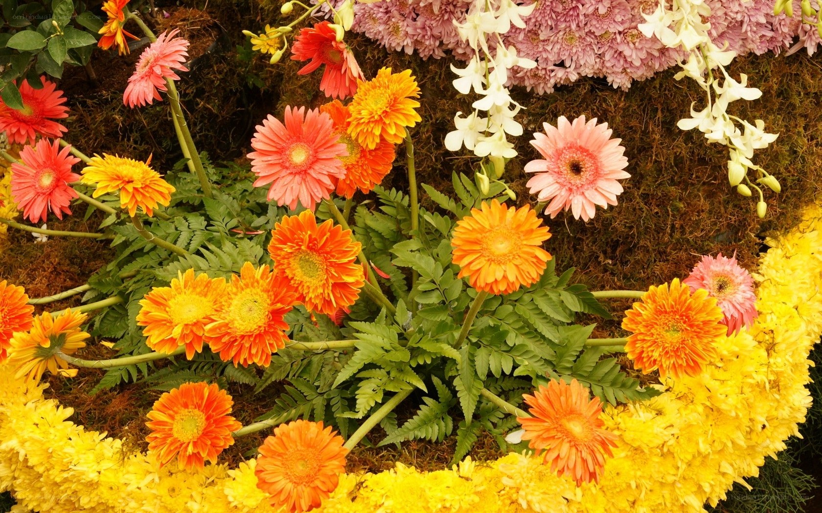 Colorful flower arrangement
