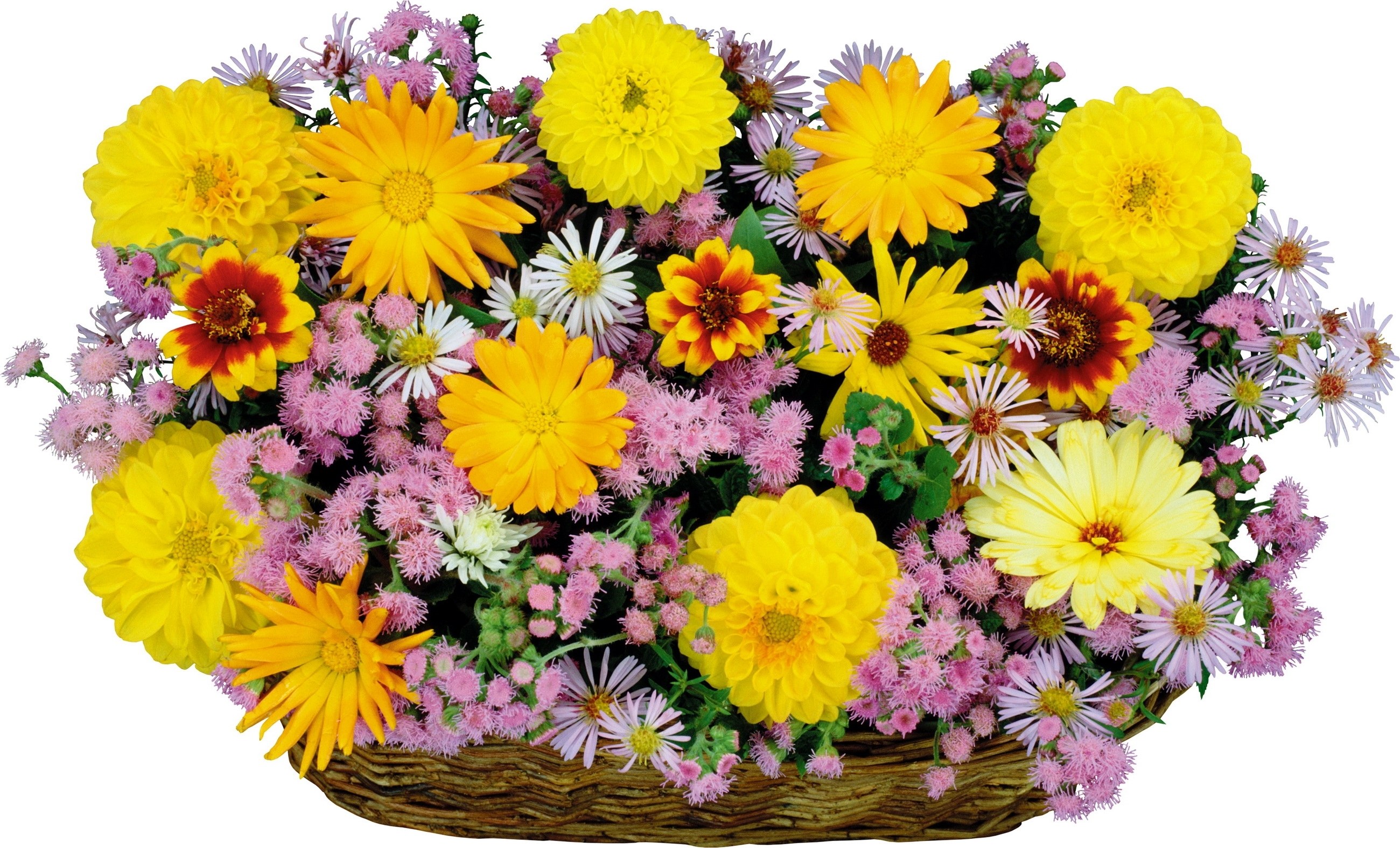 Colorful flower arrangement