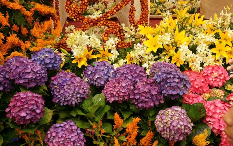 Colorful flower arrangement