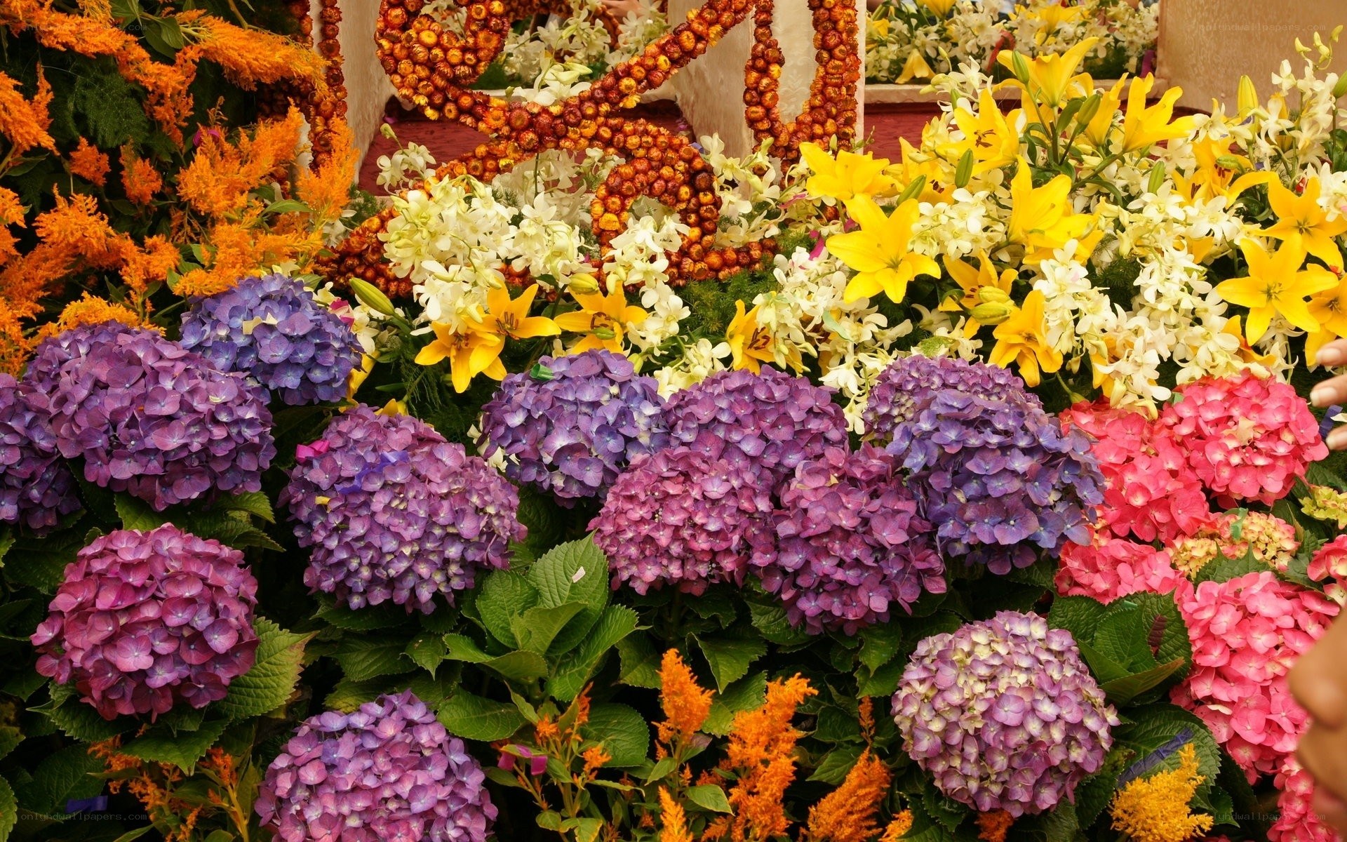 Colorful flower arrangement