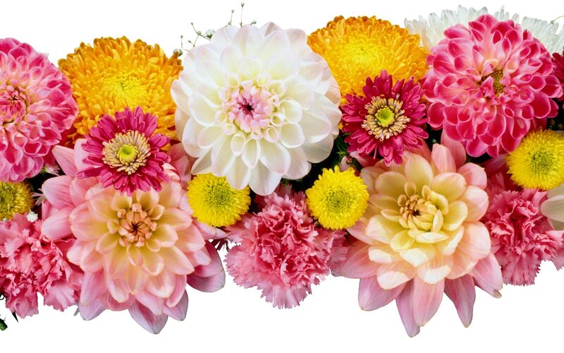 colorful flower arrangement