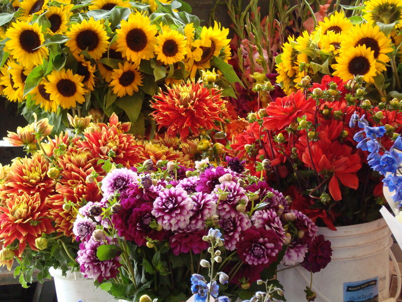 Colorful flower arrangement