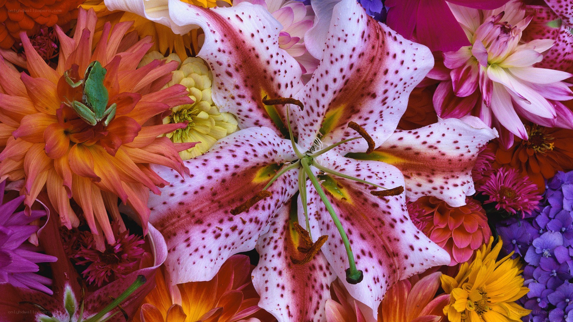 colorful flower arrangement