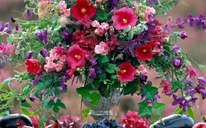 colorful flower arrangement
