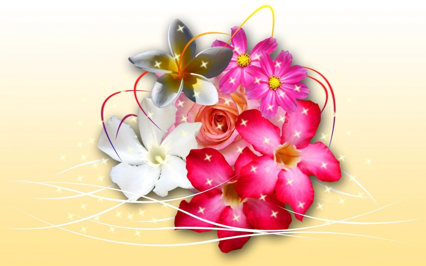 Colorful flower arrangement