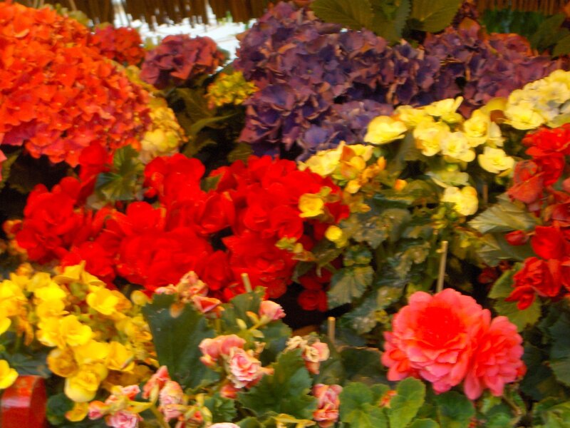 Colorful flower arrangement