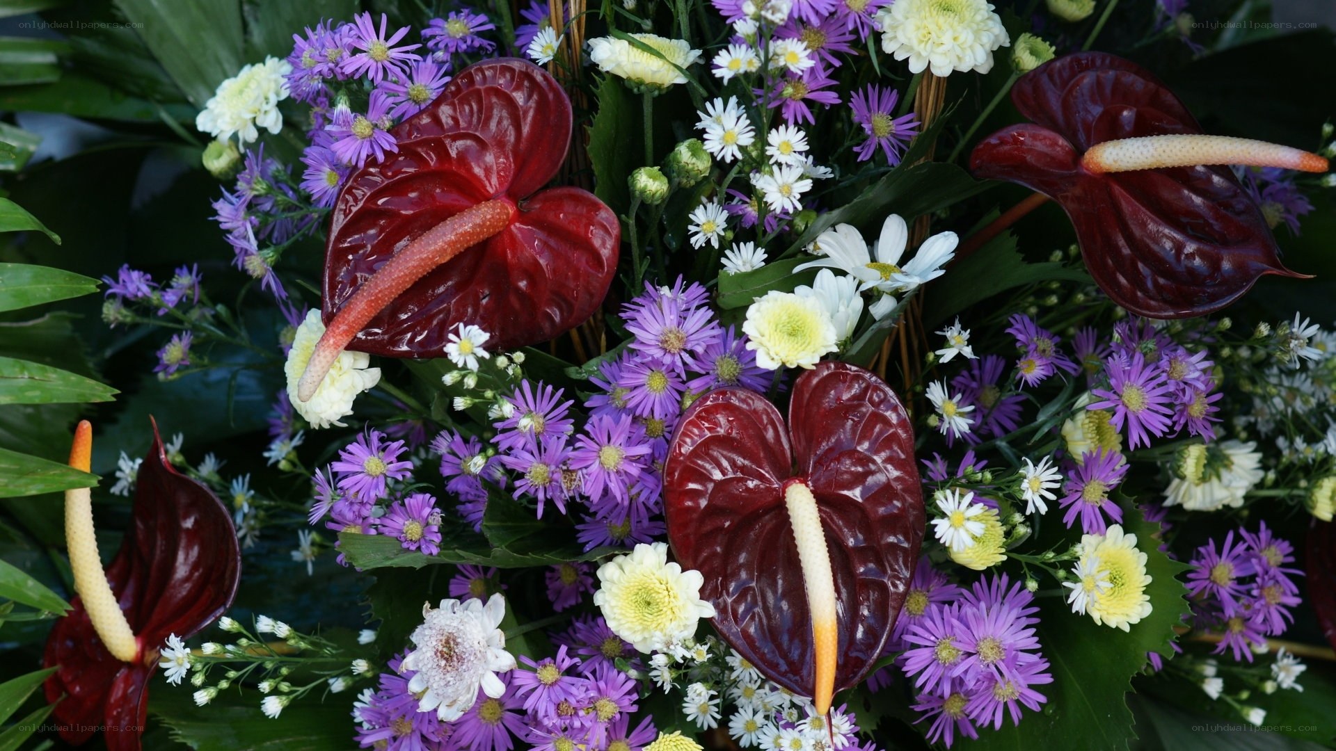 Colorful flower arrangement