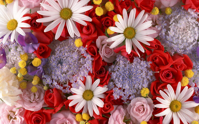 colorful flower arrangement