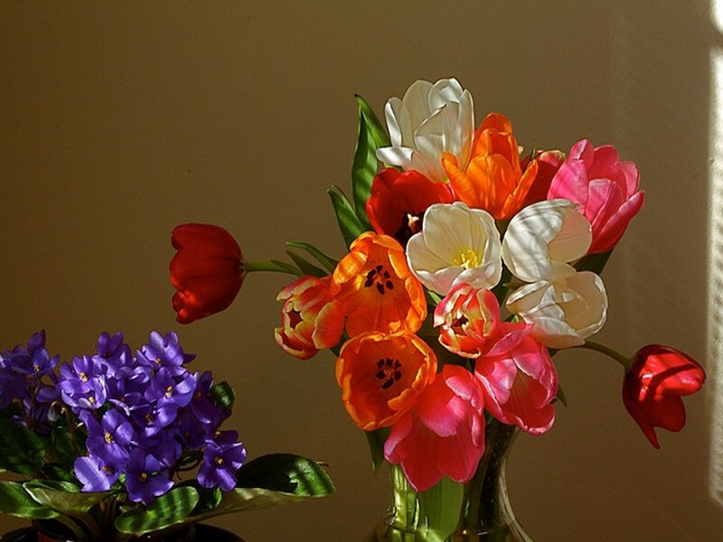 Colorful flower arrangement