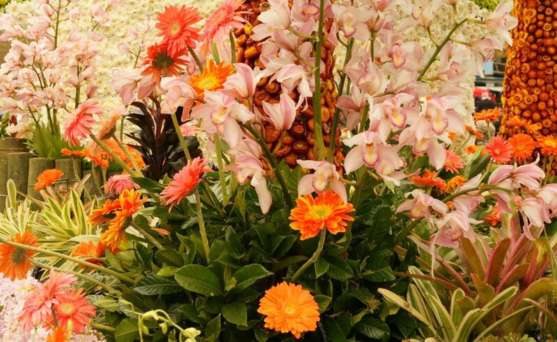 Colorful flower arrangement display