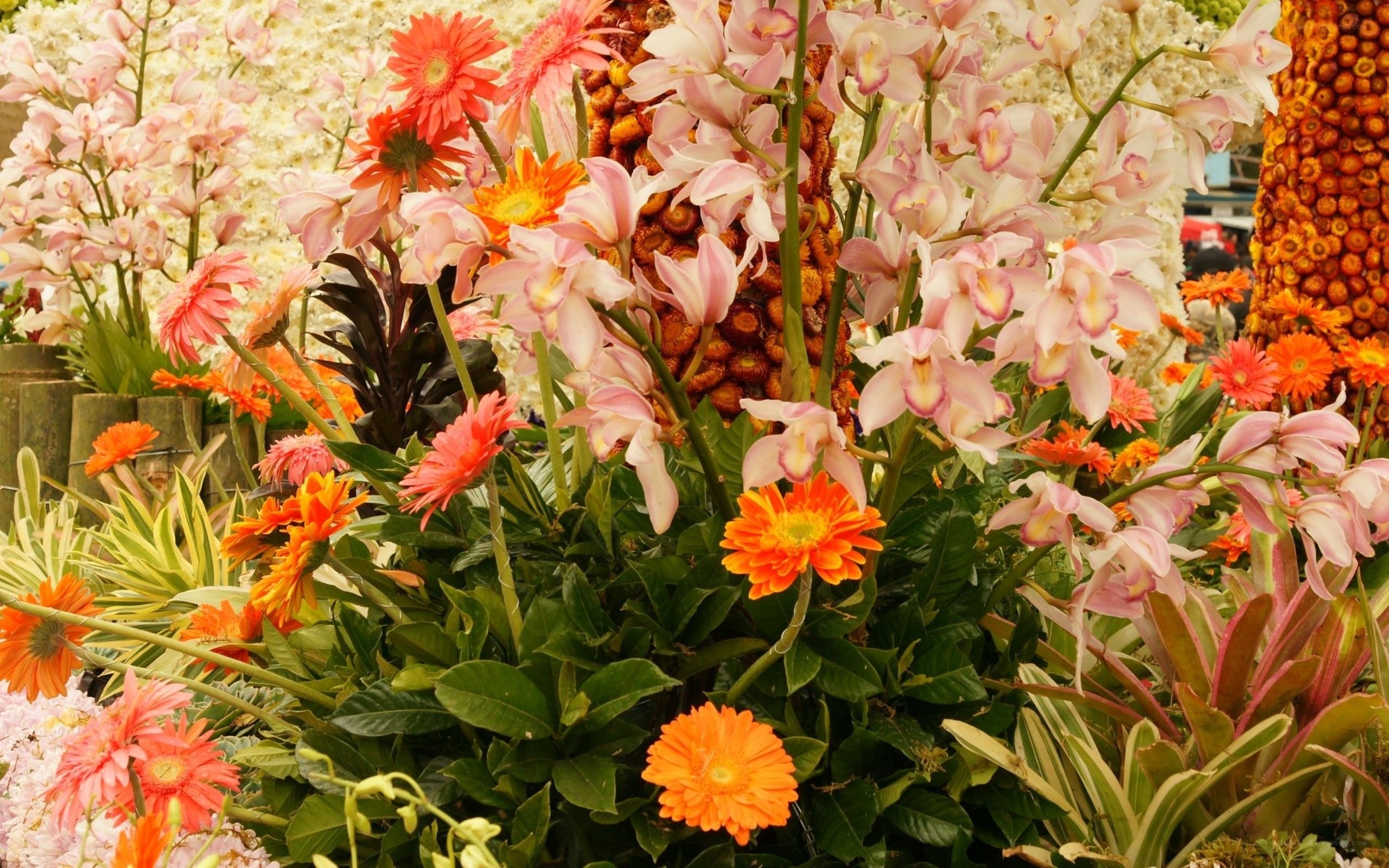 Colorful flower arrangement display