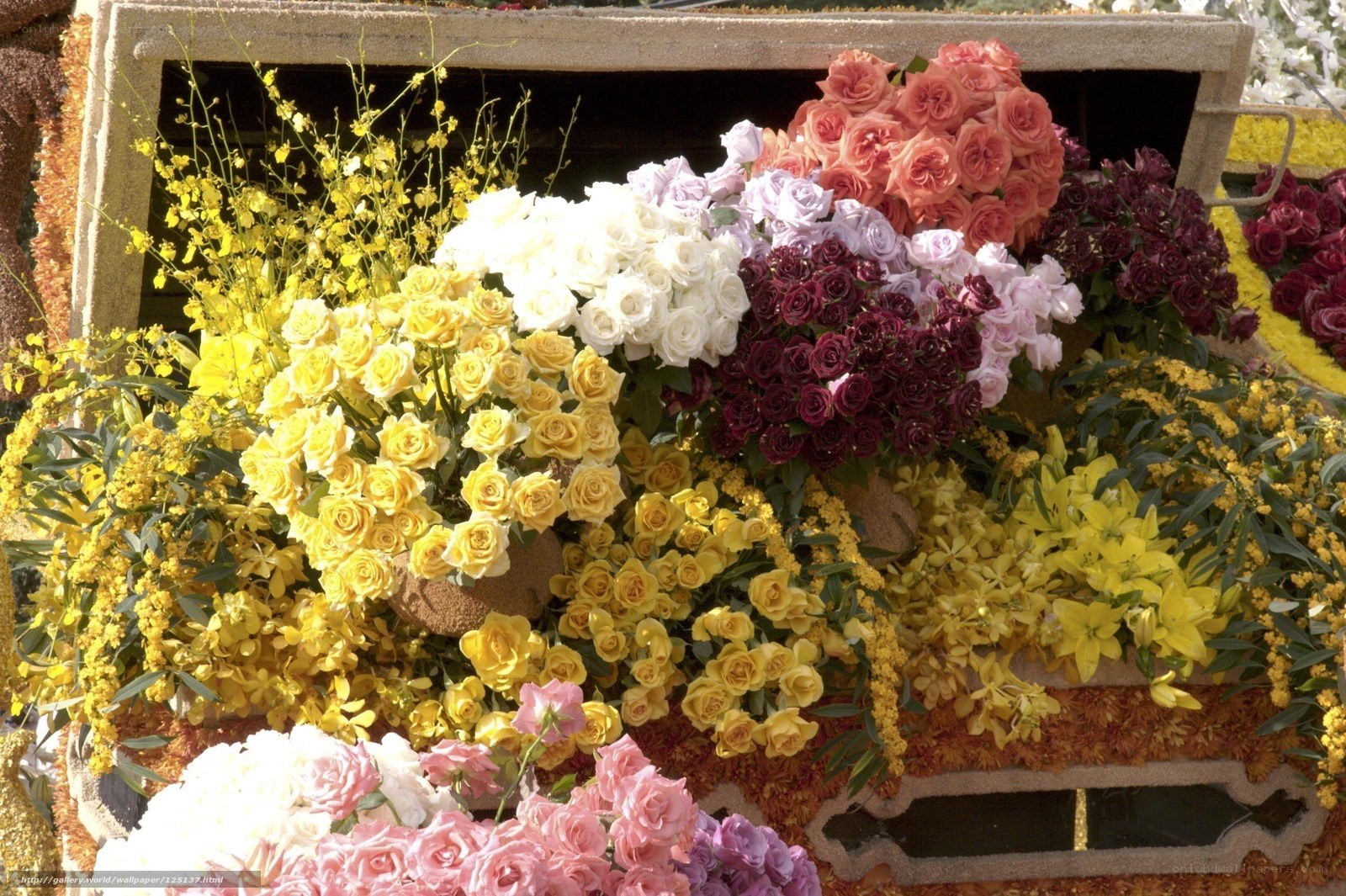 Colorful flower arrangement display