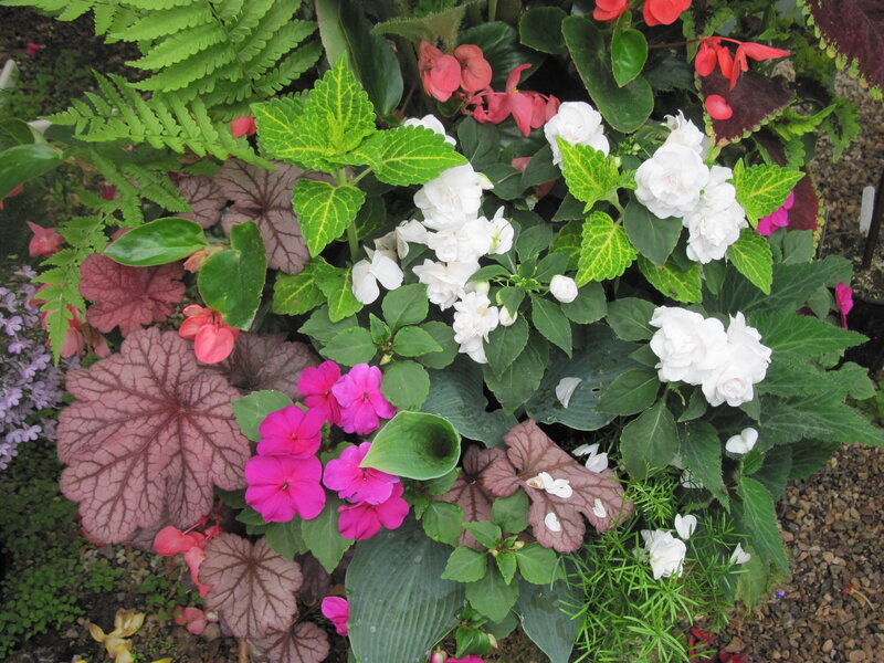 Colorful Flower Arrangement — Green, Calm