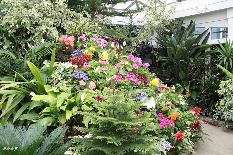 Colorful Flower Arrangement — Green, Lush