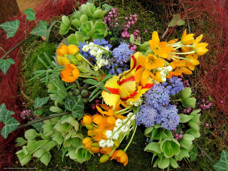 Colorful Flower Arrangement — Green, Natural