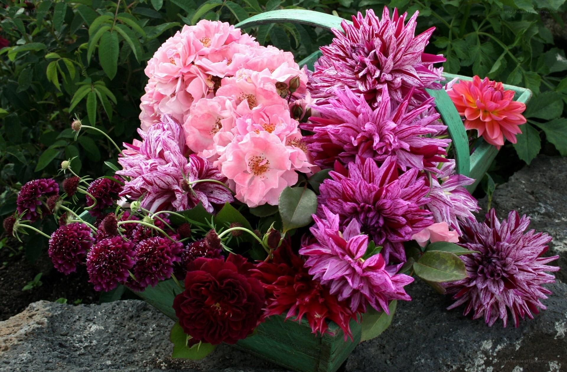 Colorful flower arrangement in basket