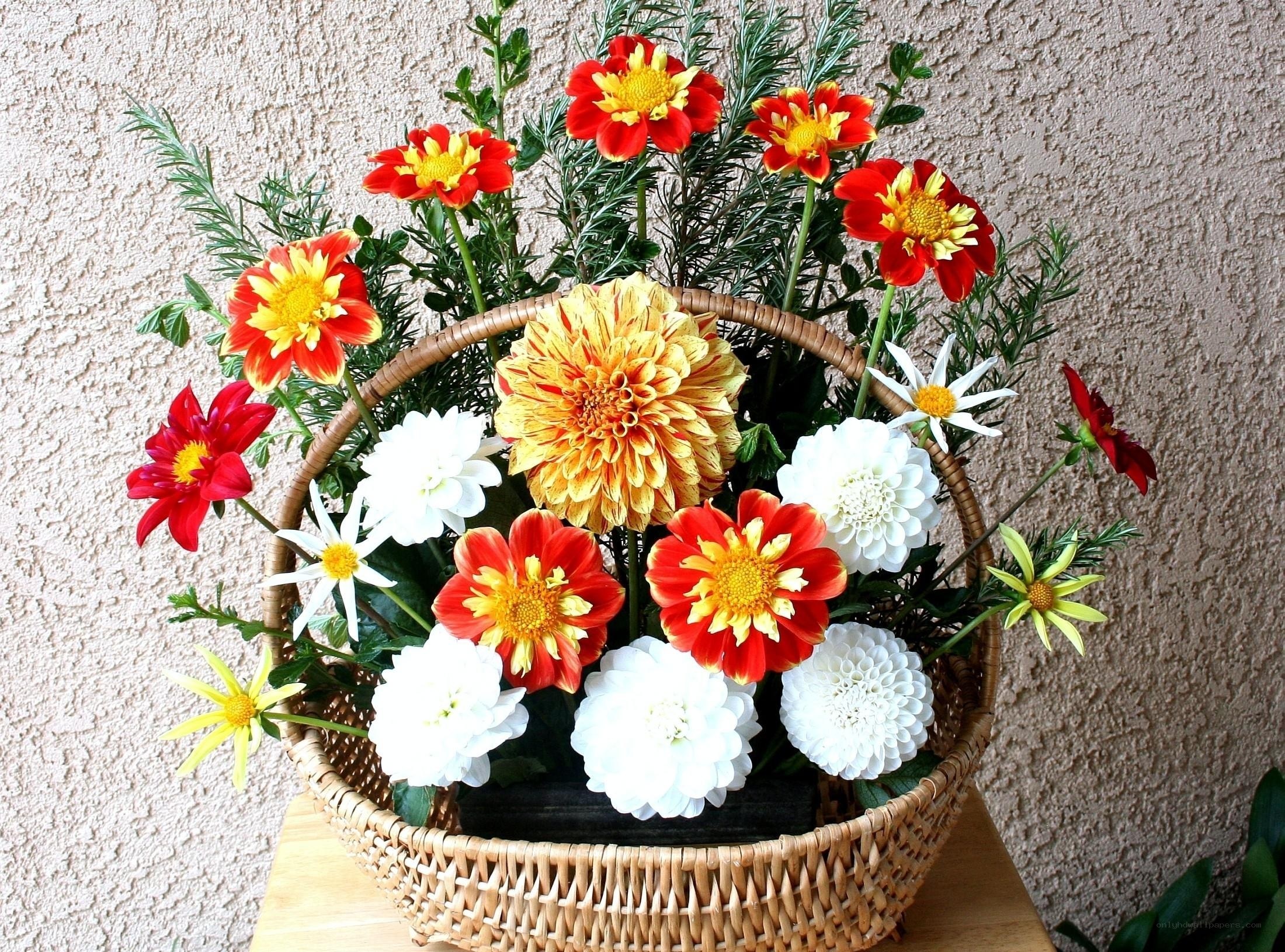 Colorful flower arrangement in basket