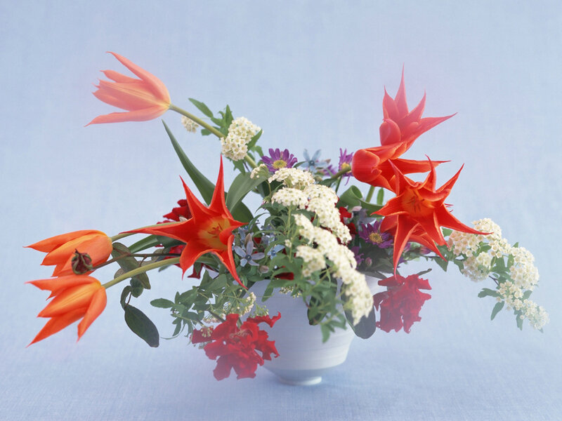 Colorful Flower Arrangement — Orange, Calm