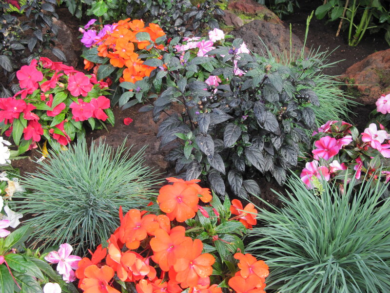 Colorful Flower Arrangement — Orange, Vibrant, Afternoon
