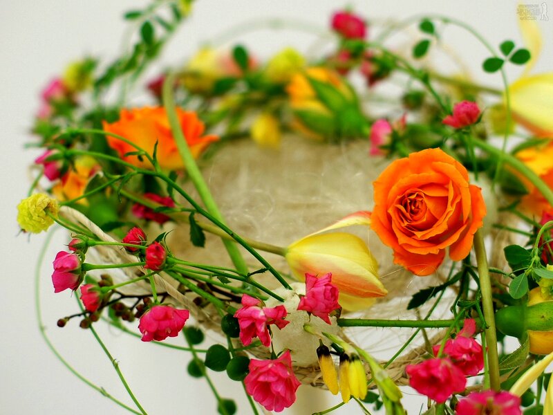 Colorful Flower Arrangement — Orange, Vibrant, Photograph