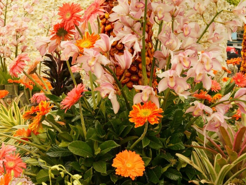 Colorful Flower Arrangement — Orange, Vibrant