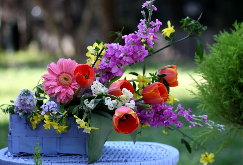 Colorful Flower Arrangement — Pink, Serene, Spring