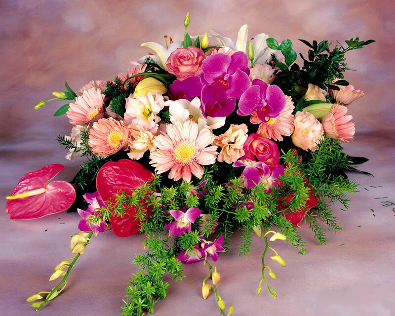 Colorful Flower Arrangement — Pink, Vibrant, Photograph, Orchids
