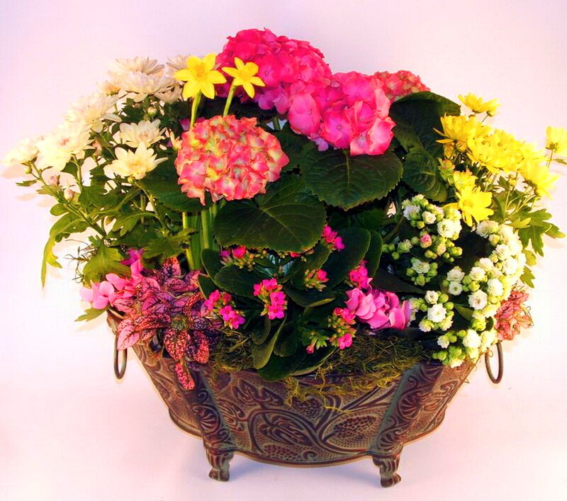 Colorful Flower Arrangement — Pink, Vibrant, Photograph