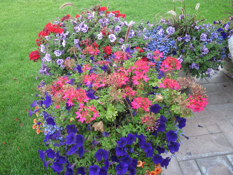 Colorful Flower Arrangement — Purple, Calm