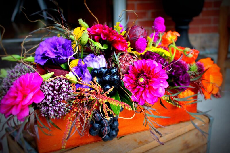 Colorful Flower Arrangement — Purple, Vibrant, Afternoon
