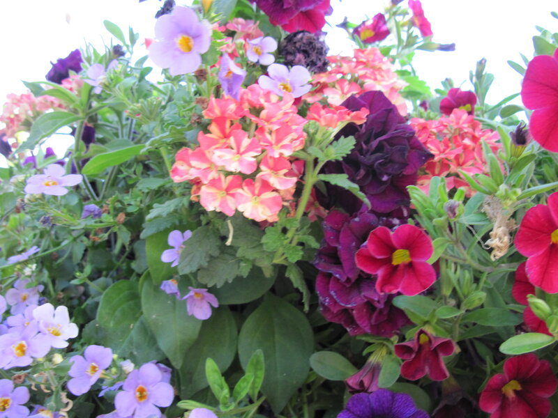 Colorful Flower Arrangement — Purple, Vibrant, Spring