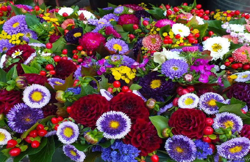 Colorful Flower Arrangement — Purple, Vibrant