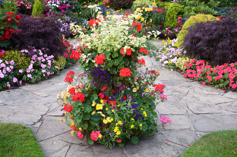 Colorful Flower Arrangement — Red, Vibrant, Afternoon