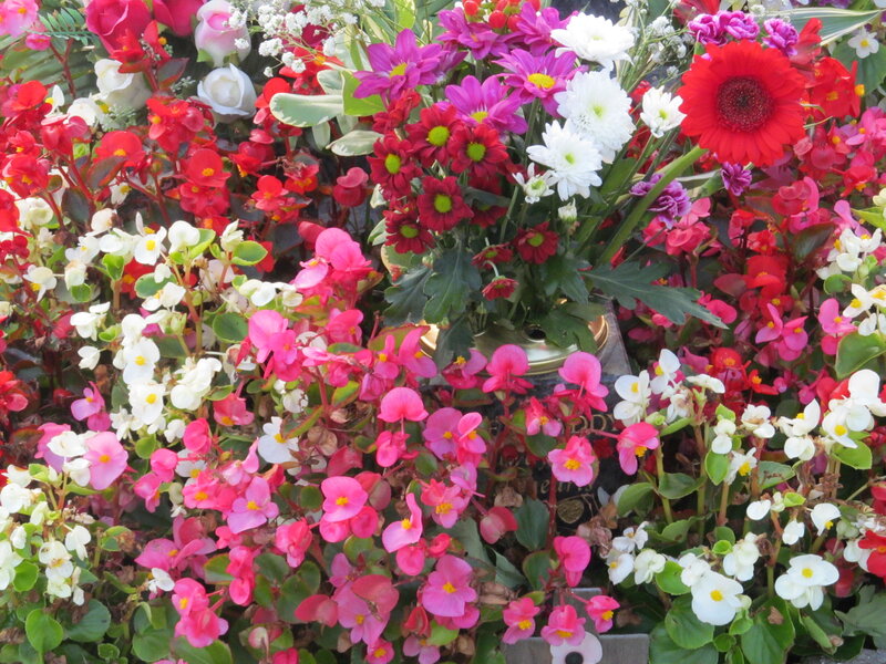 Colorful Flower Arrangement — Red, Vibrant, Photograph, Chrysanthemums