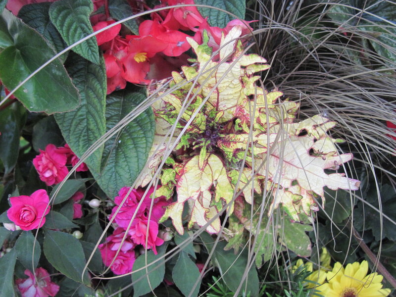 Colorful Flower Arrangement — Red, Vibrant, Summer, Photograph