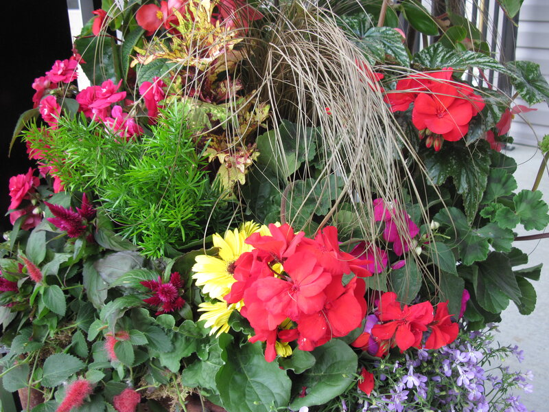 Colorful Flower Arrangement — Red, Vibrant, Summer