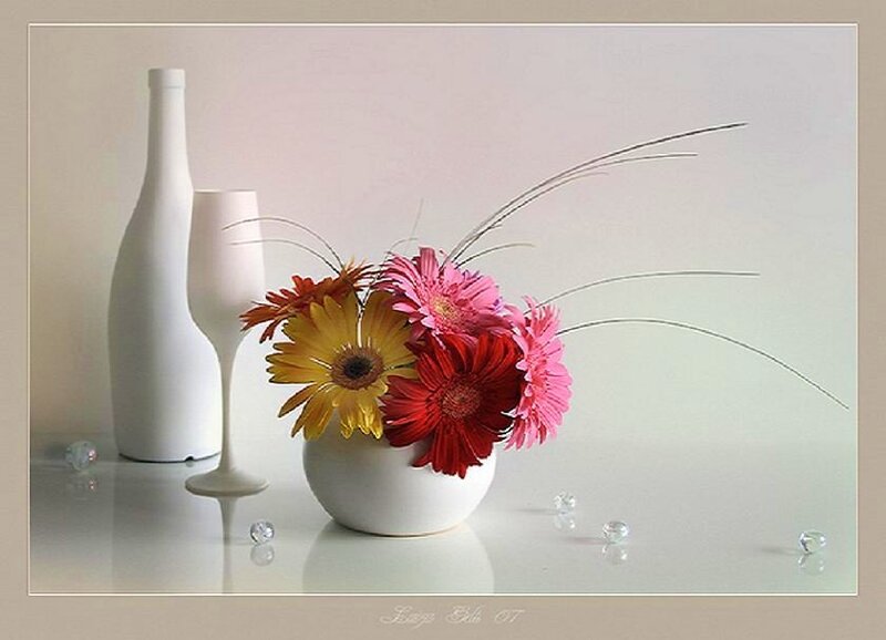Colorful Flower Arrangement — White, Serene, Photograph