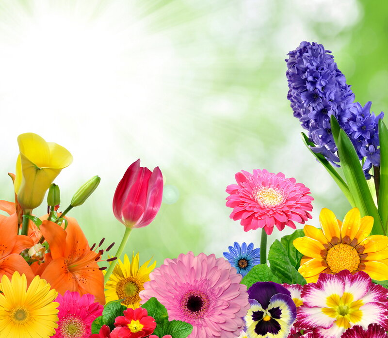Colorful Flower Arrangement — Yellow, Bright, Spring