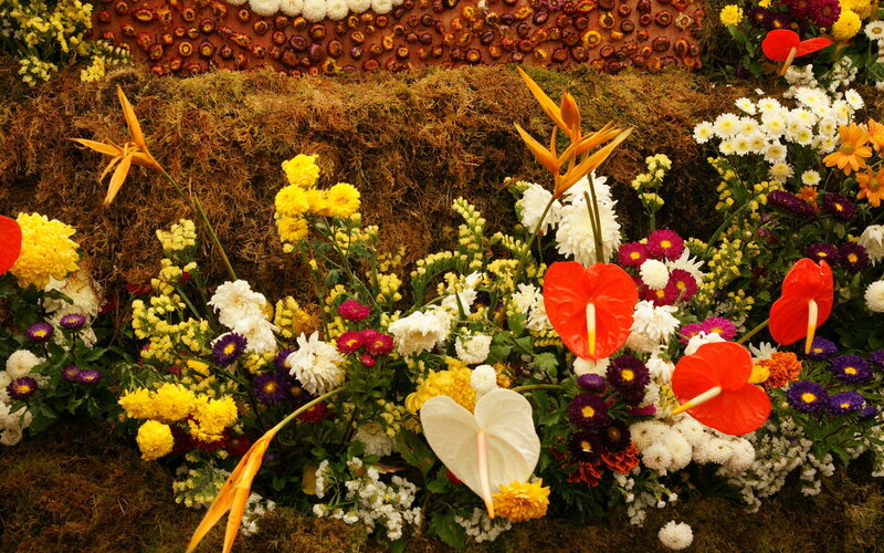 Colorful Flower Arrangement — Yellow, Vibrant, Photograph, Moss