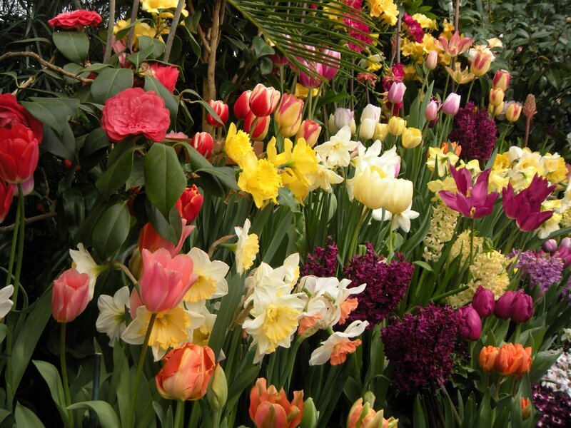 Colorful Flower Arrangement — Yellow, Vibrant, Spring, Photograph, Tulips