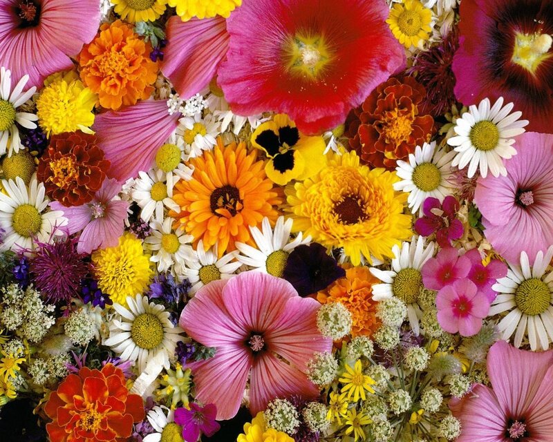 Colorful Flower Arrangement — Yellow, Vibrant, Spring