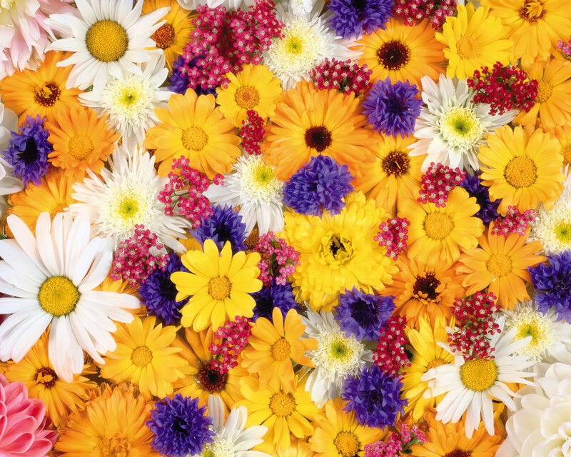 Colorful Flower Arrangement — Yellow, Vibrant, Summer