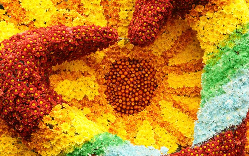 colorful flower art installation