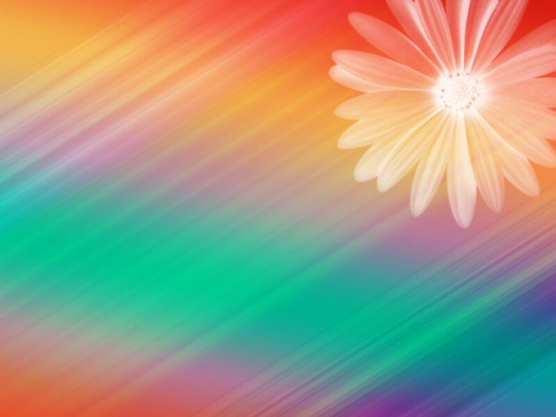colorful flower background