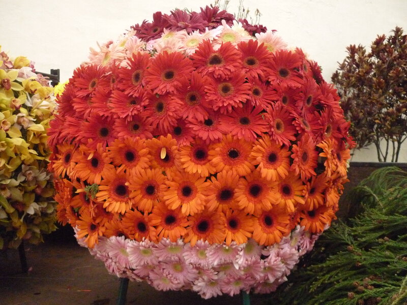 Colorful Flower Ball
