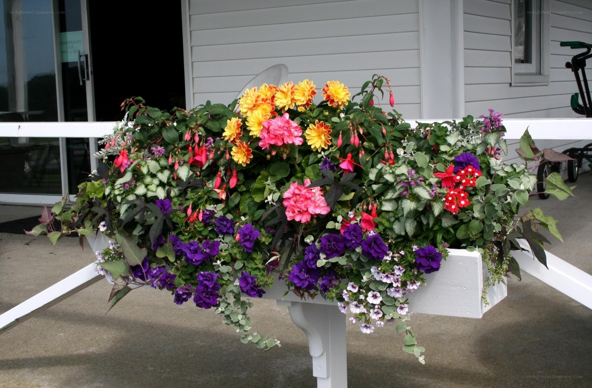 Colorful flower basket on porch
