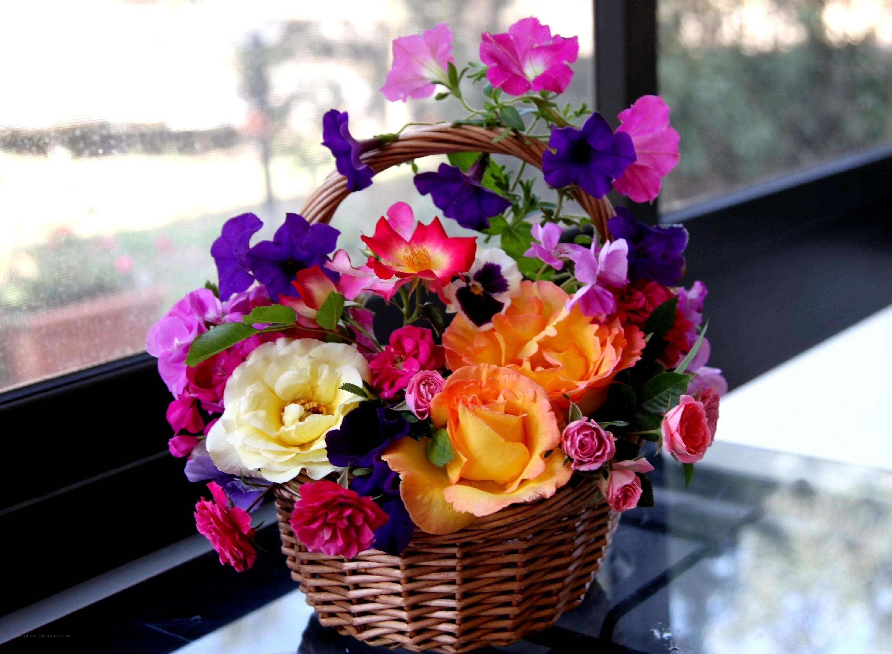 Colorful flower basket on windowsill